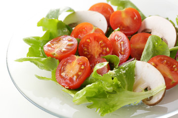 サラダ　Salad