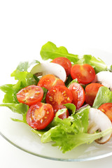 サラダ　Salad