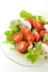 サラダ　Salad