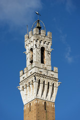 Fototapeta na wymiar Torre del Mangia (Tower of Mangia) 1348. Siena, Tuscany, Italy