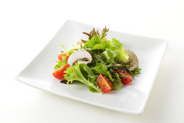 サラダ　Salad