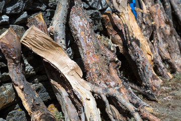 Row of Firewood at Mountain Nepal Village