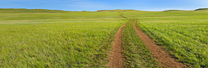 Fototapeta na wymiar Panorama of green field with road leaving to horizon. 