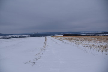 Winterliche Felder