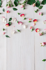 Valentine day background, rose flowers on white wood