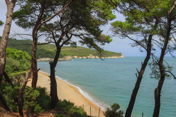 Summertime.Gargano coast: Campi Bay beach,Vieste-(Apulia) ITALY-The pebbly beach is a picturesque bay sheltered the south by the Campi rock,framed by olive trees and pinewoods.