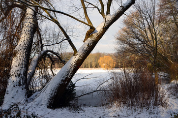 jungfernheidesee