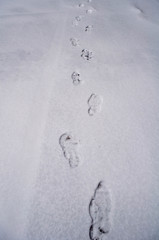 Footprints in the snow