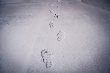 Footprints in the snow