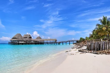 Photo sur Plexiglas Zanzibar Paradis de Zanzibar