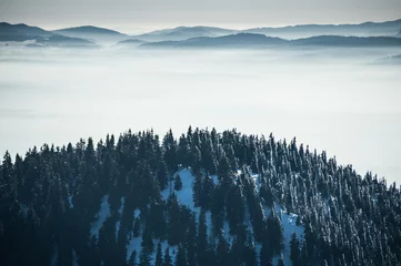 Papier Peint photo Lavable Forêt dans le brouillard Mountains in Slovakia