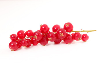 redcurrant isolated on white