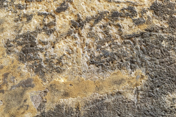 Old grunge obsolete wall.