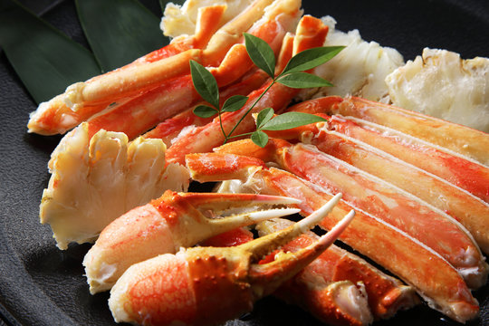 ずわいがに　Snow crab