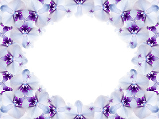 Fototapeta na wymiar frame of flowers. white-blue-purple flowers are gathered in a circle on a white background. for design. Card for the holiday. Nature..
