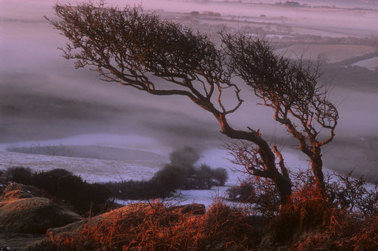 Helman Tor Cornwall Winter