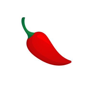 Chili Pepper Vector Isolated
