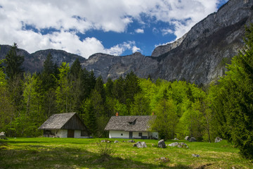 Fototapeta na wymiar Bohinj valley in Slovenia