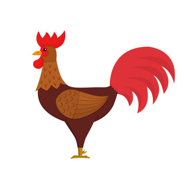 Flat style design colorful stylized rooster vector illustration isolated on white background