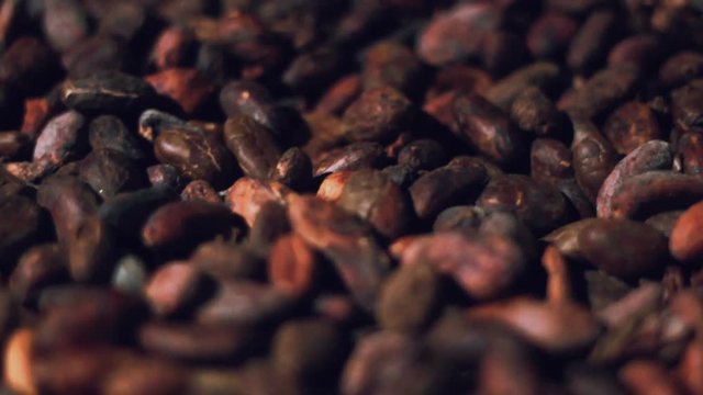 Closeup cacao beans