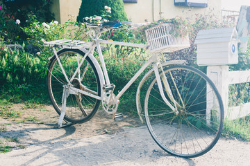 Fototapeta na wymiar The old bike in garden