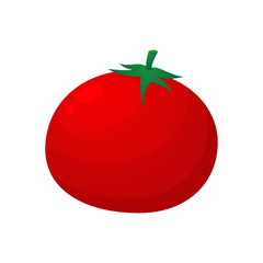 Tomato vector isolated