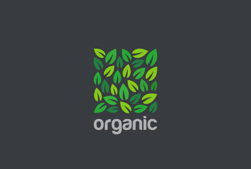 Leaves Eco Logo square design vector. Organic Natural Garden