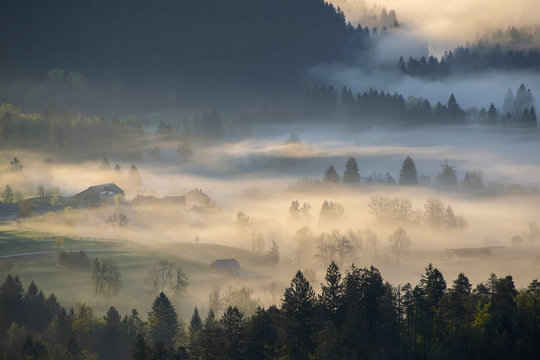 Foggy morning mist over alpine valley © haidamac