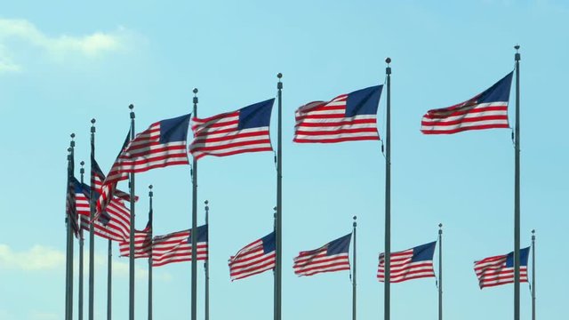 US Flags at Washington Monument at National Mall in Washington DC