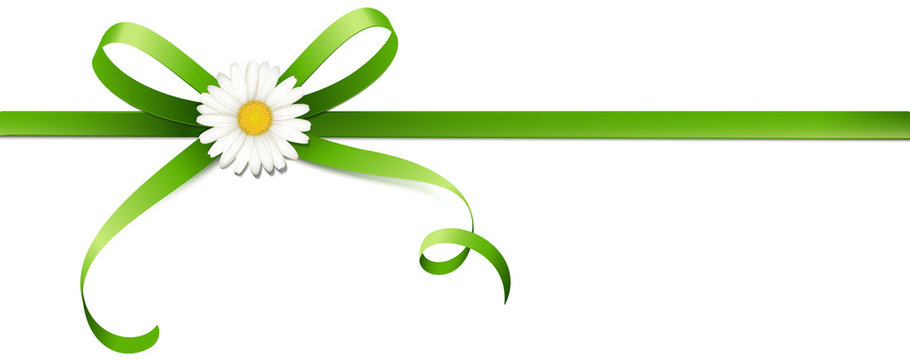 Gr&uuml;ne Schleife mit Margeriten Bl&uuml;te - Horizontal