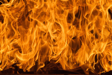 Blaze fire flame on black background