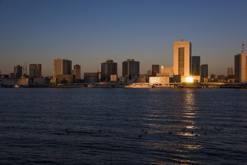 Fototapeta premium 夜明けの東京