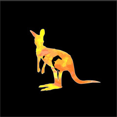 Colored hand sketch kangaroo