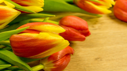 Tulpenblüten in Rot-Gelb mit Holzhintergrund