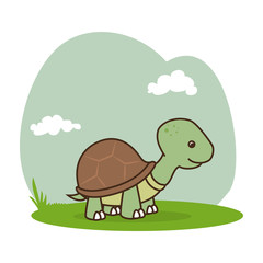 cute turtle isolated icon vector illustration design