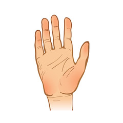 hand  line sketch. one hand. opened palm. stopping or welcome ge