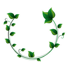 Obraz premium leafs plant ecology icon vector illustration design
