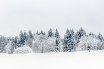 Schnee im Erzgebirge bei Altenberg