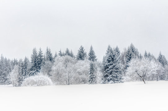 Fototapeta Schnee im Erzgebirge bei Altenberg