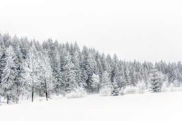 Schnee im Erzgebirge bei Altenberg
