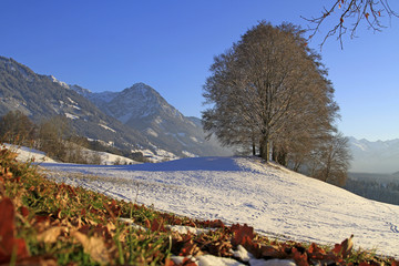 Fototapeta premium Winter - Allgäu - erster Schnee - Rubihorn - Malerwinkel - Altstädten