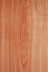 Pattern wood background 
