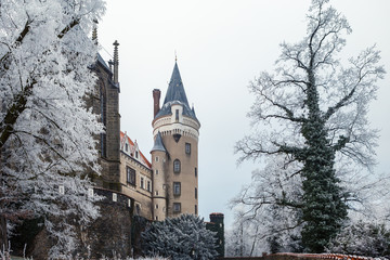 Fototapeta na wymiar Chateau Zleby in winter, Czech Republic.