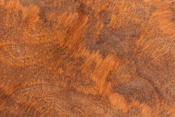 Naklejka premium Wood structure