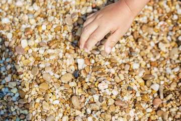 Child hands collect pebbles