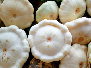 Heap of natural white color unique shape pumpkins 