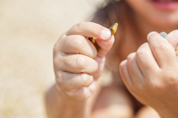Child hands collect pebbles