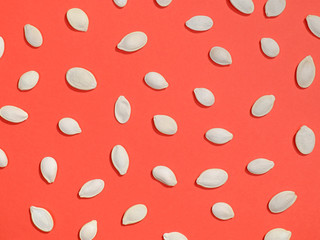 White pumpkin seeds flat lay