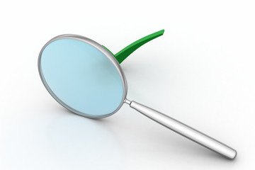 Magnifying glass with check mark