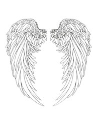 Wings. Vector illustration on white background. Black and white